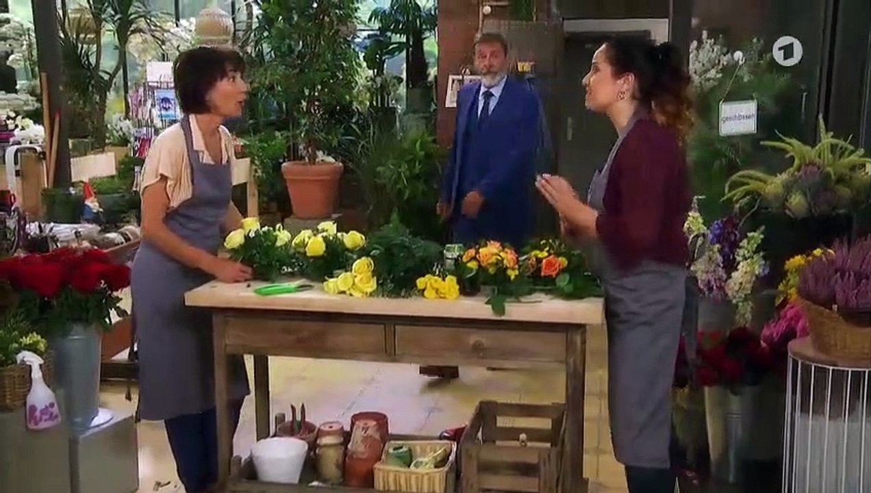 Rote Rosen 3168 folge