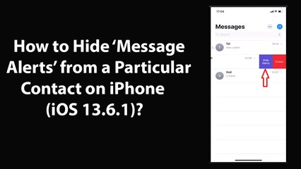 How to Hide Message Alerts from a Particular Contact on iPhone (iOS 13.6.1)?