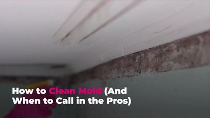 How to Clean Mold (And When to Call in the Pros)