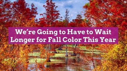We're Going to Have to Wait Longer for Fall Color This Year