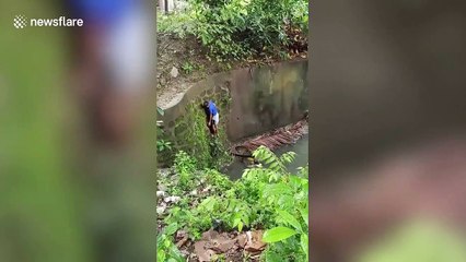 Hero passerby climbs into dirty canal to save injured dog