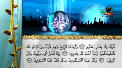 اين تذهب روح القطط والكلاب بعد المـ ـوت وهل سوف تدخل الجنة مع صاحبها