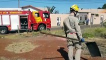 Bombeiros combatem incêndio ambiental no Bairro Brasília