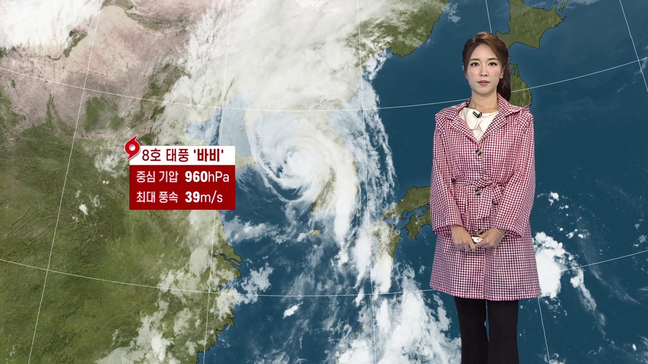 [날씨] 태풍 '바비' 옹진반도 부근 상륙할 듯...서울·경기 일부 태풍경보 / YTN