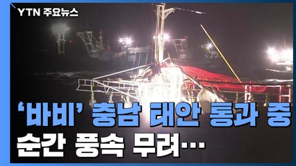 태풍 '바비' 충남 태안 통과 중...순간 풍속 44㎧ / YTN