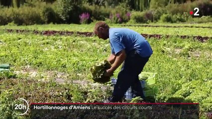 Hortillonnages d'Amiens : le succès des circuits courts
