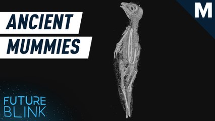 These scientists ‘digitally unwrapped’ ancient mummies — Future Blink