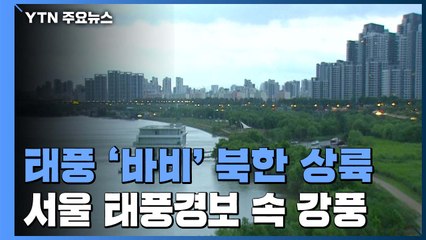 [날씨] 태풍 '바비' 북한 상륙...서울 '태풍경보' 속 강풍 / YTN
