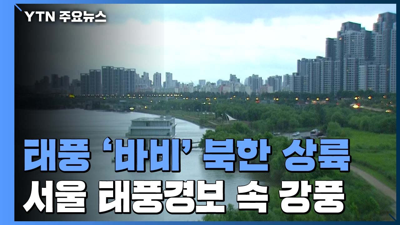 [날씨] 태풍 '바비' 북한 상륙...서울 '태풍경보' 속 강풍 / YTN