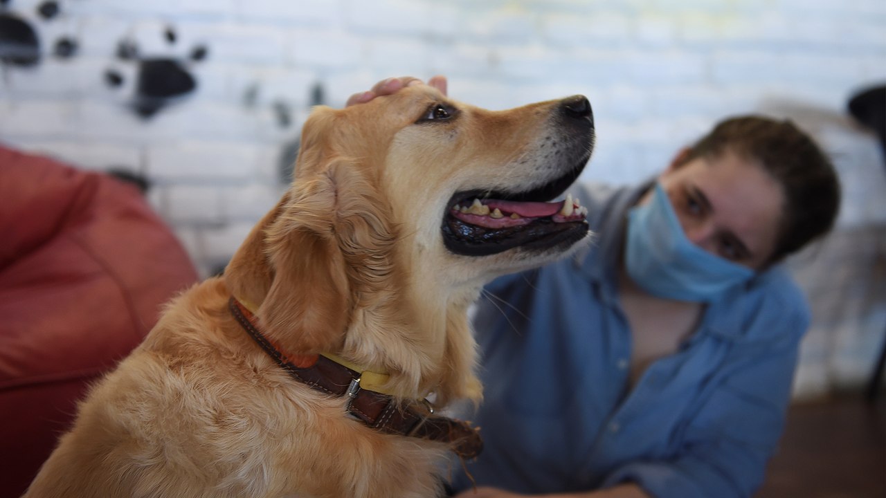 Dogged by Covid-19 lockdown loneliness, more Indians adopt puppies