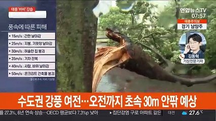 태풍 '바비' 밤에 중국서 소멸…수도권 태풍특보