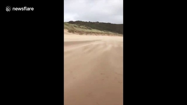 Strong winds from Storm Francis viciously blows sand away in Oxwich Bay