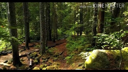 Calm music for yoga and meditation