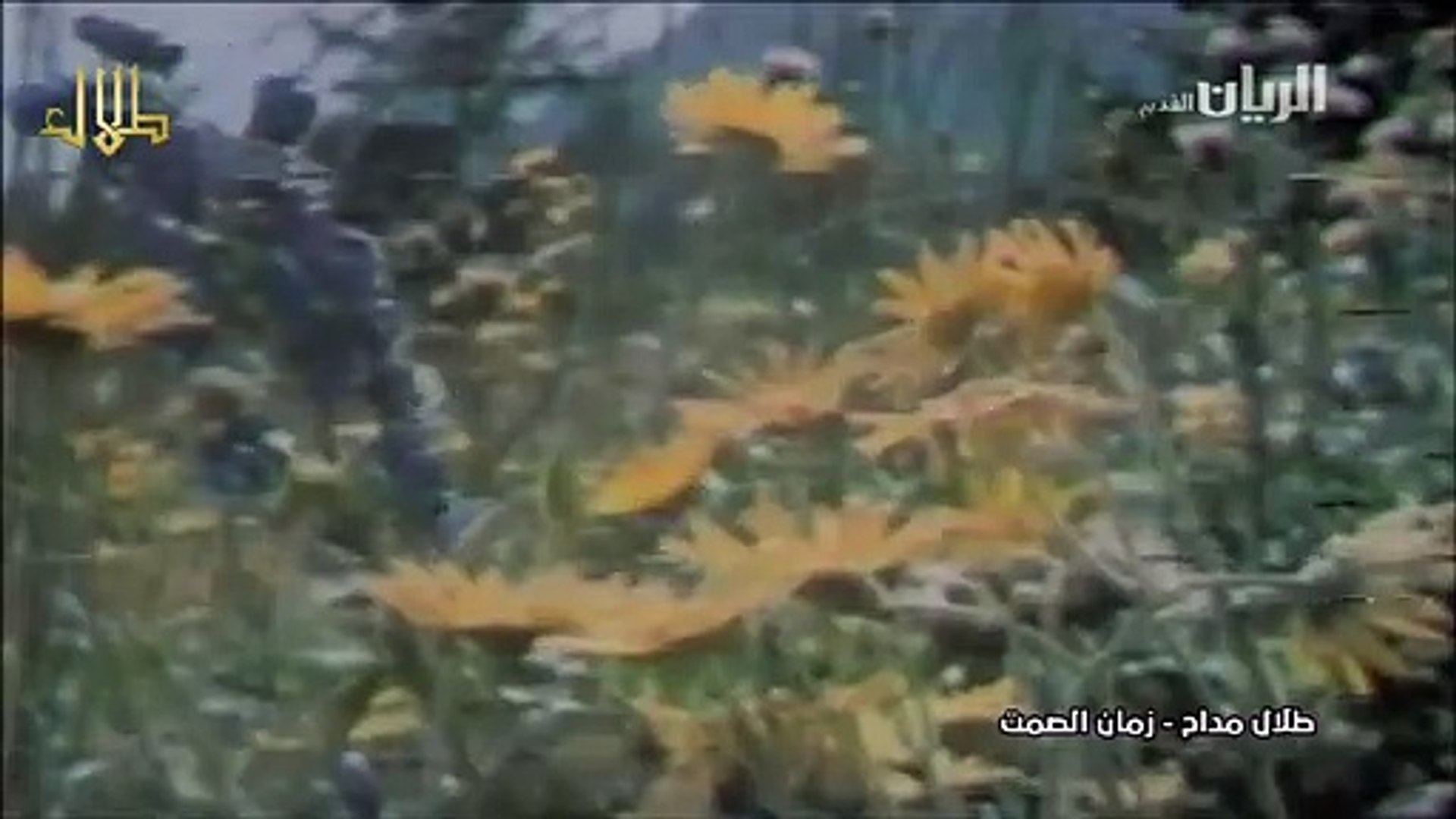 ⁣طلال مداح / زمان الصمت / فيديو كليب