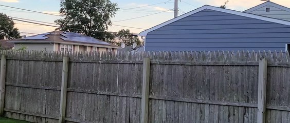 Baby Bird visits its human rescuer every day!  Today&apos;s visit got cut short of course...