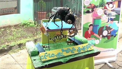 Lucha antiepidémica en promoción de la vida y salud de los nicaragüenses