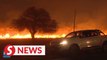 Forest fires rage through northern Argentina