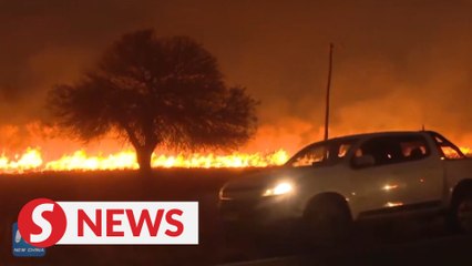 Forest fires rage through northern Argentina