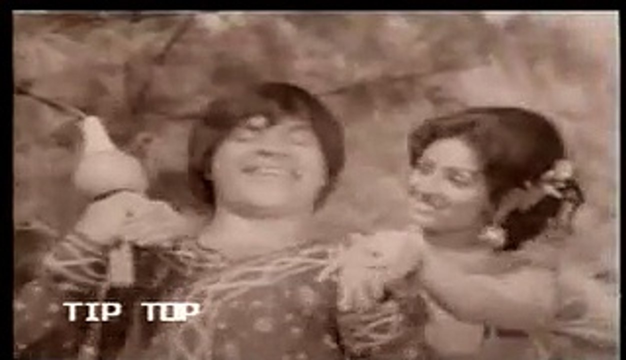 DAAR DUNBA DUNBA NOOR JAHAN