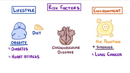 Biology - Is Your Lifestyle Really a Personal Choice - Lifestyle & Risk Fac