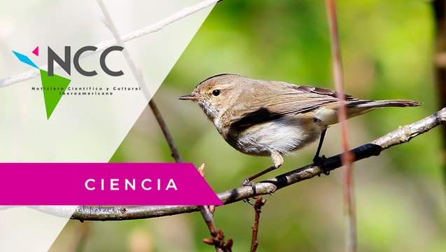 Sal­var al pla­ne­ta: pri­mer ta­ller para es­ta­ble­cer las nue­vas me­tas glo­ba­les al 2030