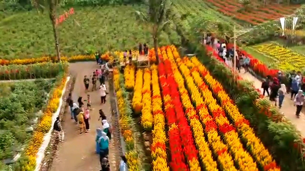 Banyuwangi Agro Expo 2019 (2nd version)