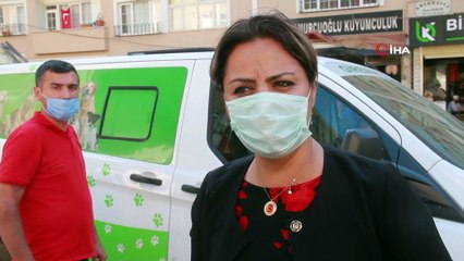 Selin vurduğu ilçede sokak hayvanları da unutulmadı