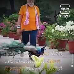 PM Modi Shares A Video Of His Bond With Peacocks At His Residence