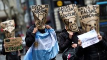 ‘Pig deal’ with China raises fears in Argentina over potential virus outbreak
