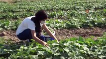 Koyun otlatıp, tarlada çalışan çocuklar fen lisesini kazandı