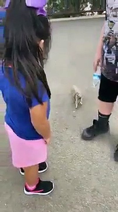 Squirrels can also ask for water  The interesting thing of nature