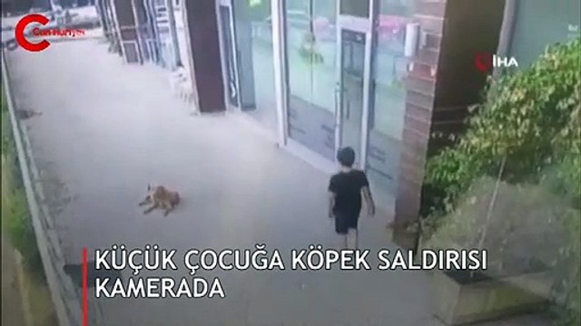 İstanbul’da küçük çocuğa köpek saldırısı kamerada