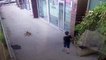 İstanbul’da küçük çocuğa köpek saldırısı kamerada