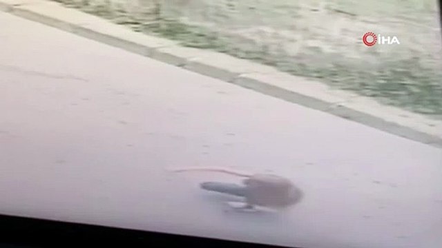 Dehşete düşüren olay! Sokakta oynayan çocuğu ezip kaçtı