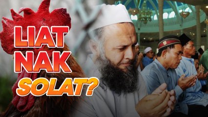 Kisah ayam muncul dalam mimpi, pemuda insaf sebab lupa nikmat lutut