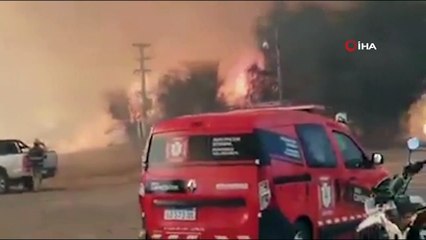 - Arjantin’de 15 bin hektar ormanlık alan kül oldu