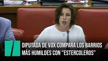 Una diputada de Vox compara los barrios más humildes con "estercoleros multiculturales"