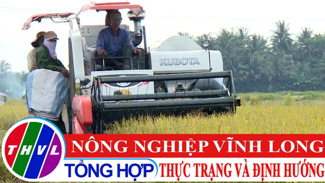 Chuyện hôm nay: Nông nghiệp Vĩnh Long - thực trạng và định hướng