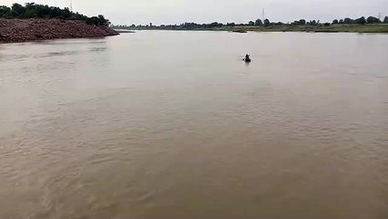 बेतवा नदी पुल पर हादसा, बहते हुए पानी में गिरे दो युवक, एक मिला एक लापता
