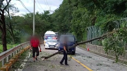 강풍에 쓰러진 나무가 달리던 차 덮쳐...4명 부상 / YTN