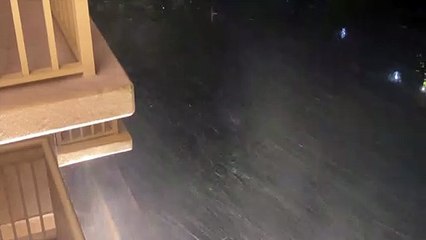 "Extrem gefährlich:" Hurrikan "Laura" trifft in den USA auf Land