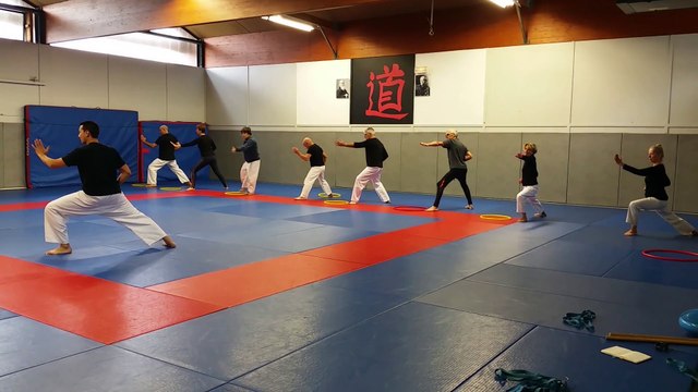 Karaté Santé - Rétrospective Kihon (posture, techniques bras/jambes)