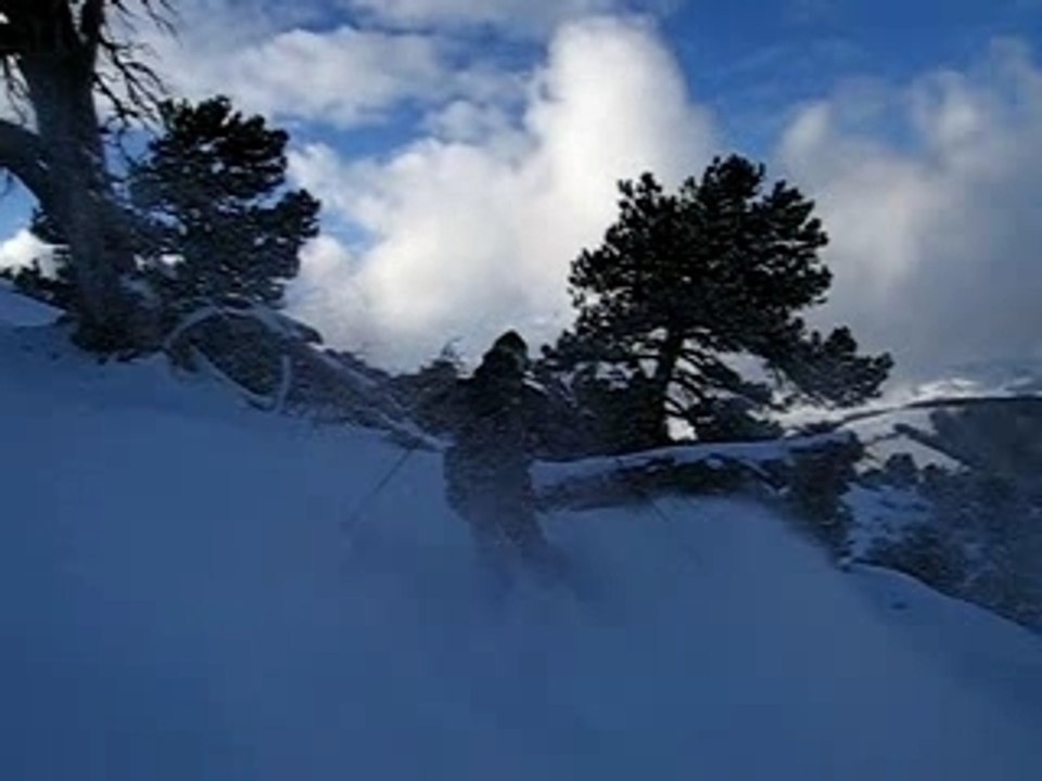 kalberer hang