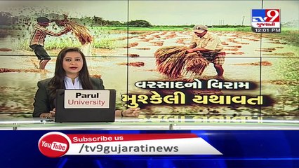 Monsoon becomes troublemaker for Dhruvfaniya villagers; crops washed away by heavy rain in Botad
