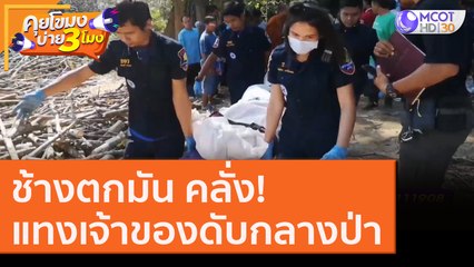 "ช้างตกมัน" คลั่ง! แทงเจ้าของ "ดับกลางป่า" [27 ส.ค. 63] คุยโขมงบ่าย 3 โมง | 9 MCOT HD