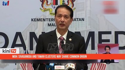 MOH- Sivagangga and Tawar clusters may share common origin
