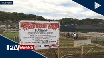La Trinidad, Benguet pinag-aaralan ang pagbubukas muli ng kanilang turismo