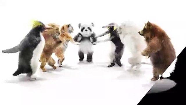 Panda tiger penguin penguins White lion bear Zoo CG fur 3d rendering animal