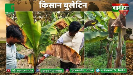 अब Satellite Data के जरिए Kisano को मिलेगा Loan : ऐसा करने वाला Bharat का पहला बैंक ICICI BANK | Kisan Bulletin : Grameen News