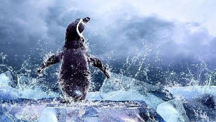 Asal Penguin Ternyata Bukan Berasal Dari Daerah Dingin